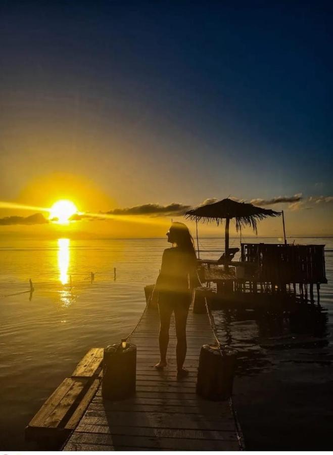 Victoria S Beach House And Snorkeling Center Flowers Bay ภายนอก รูปภาพ