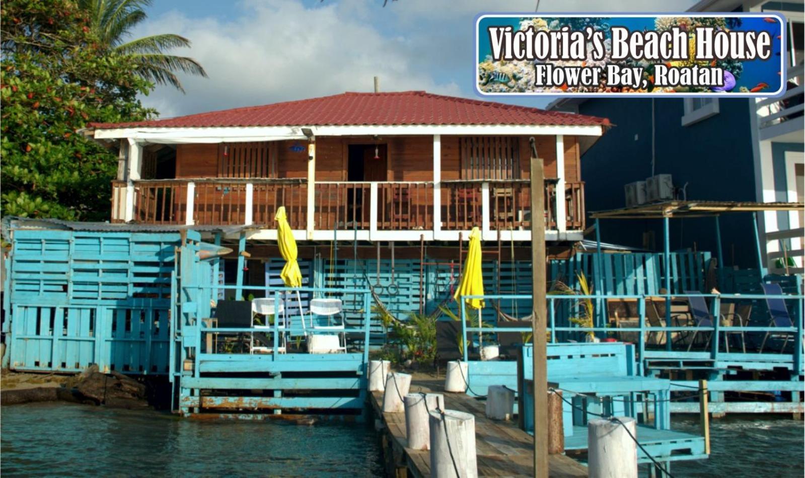 Victoria S Beach House And Snorkeling Center Flowers Bay ภายนอก รูปภาพ